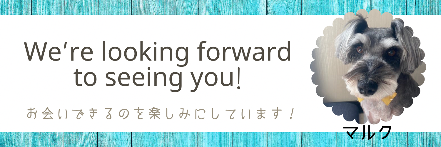 HELLO KATE アクセス